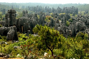 Cina foresta di pietra panoramica